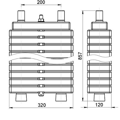 Грузоблок 100 кг с натяжителем (фото 1)